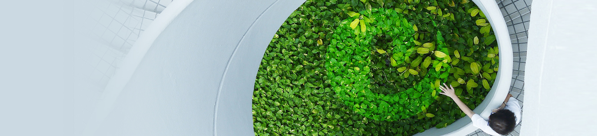 星空online(中国)